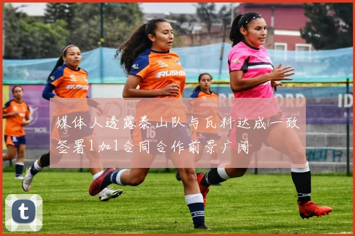 媒体人透露泰山队与瓦科达成一致签署1加1合同合作前景广阔