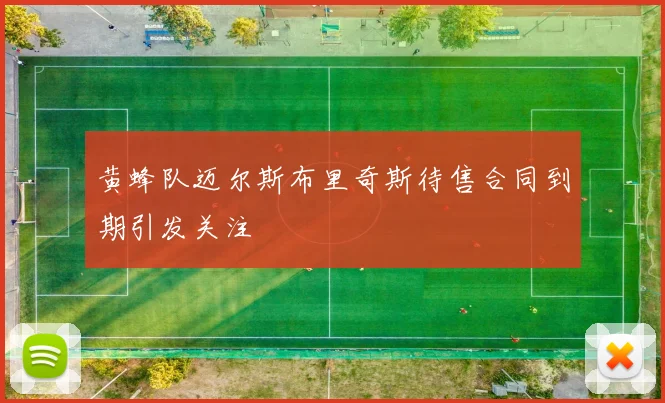 黄蜂队迈尔斯布里奇斯待售合同到期引发关注