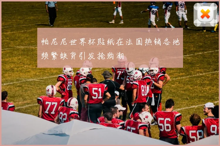 帕尼尼世界杯贴纸在法国热销各地频繁缺货引发抢购潮